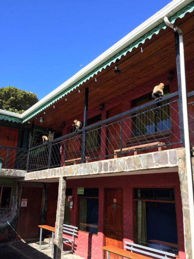 Manakin Lodge Monteverde Exterior photo